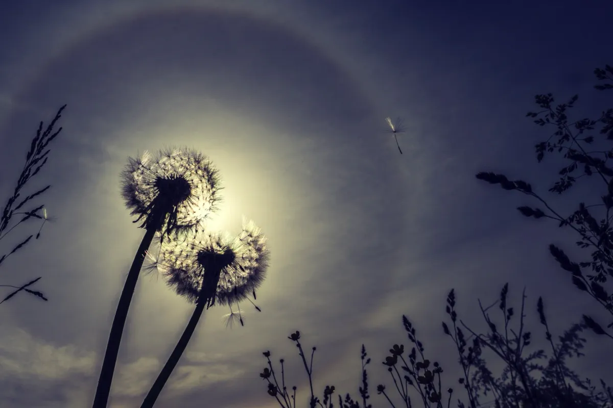 Imparare fotografia da zero - metodo strutturato Photolab Academy