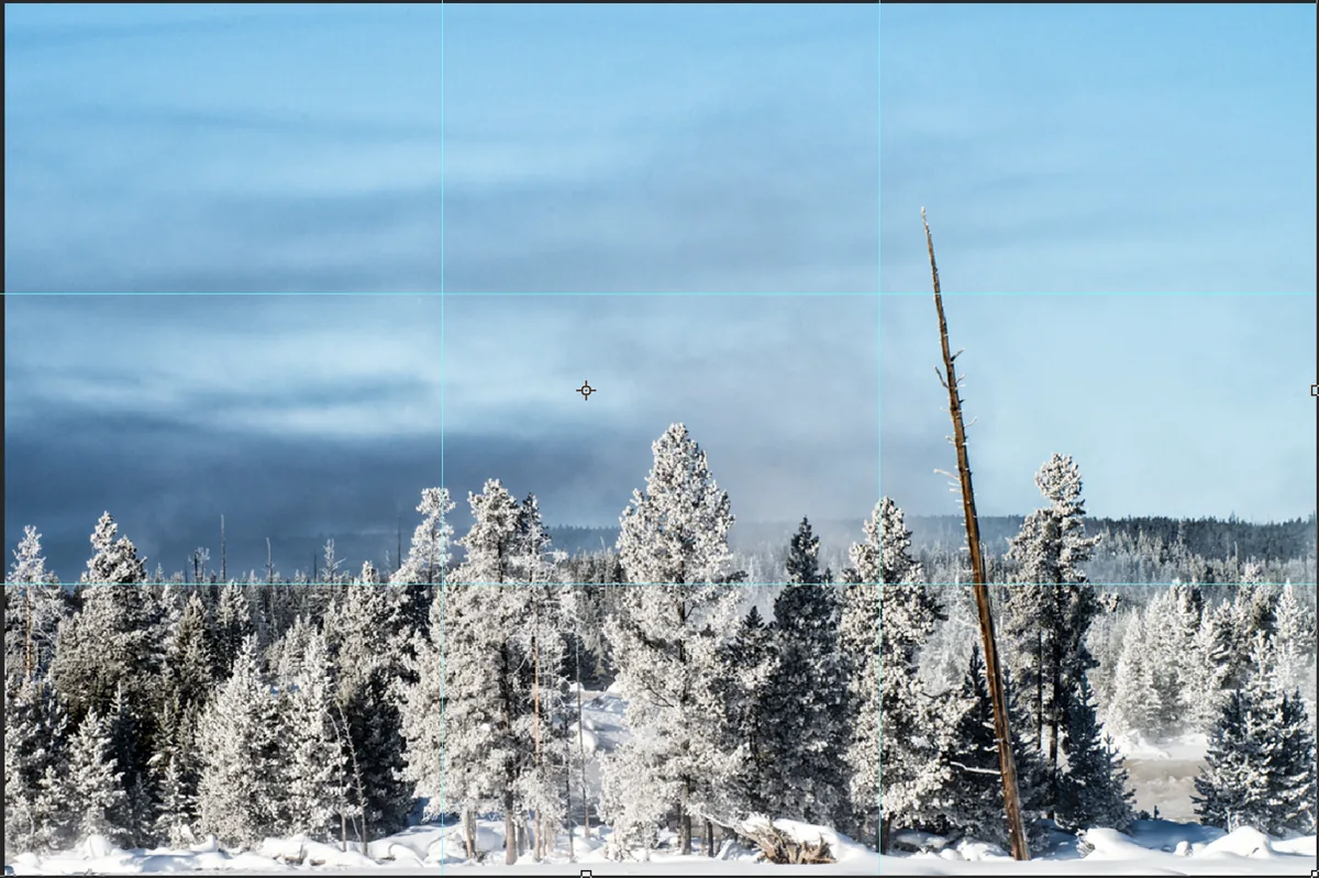 Albero secco nel parco nazionale di Yellowstone posizionato sulla linea dei terzi verticale, fotografia di paesaggio