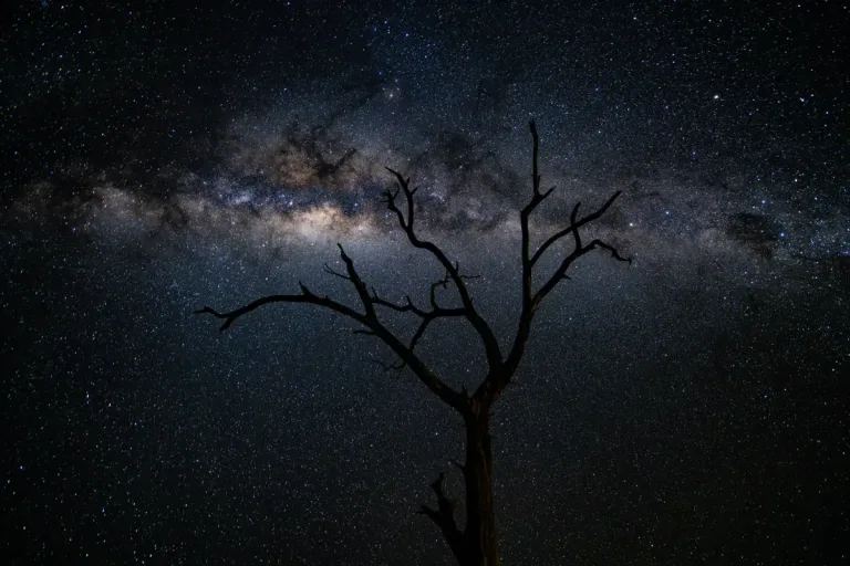Cielo stellato e Via Lattea sul deserto della Namibia, viaggio fotografico Photolab